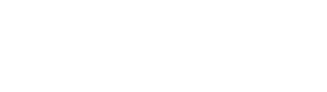 Vanquish Solutions Trading Ltd